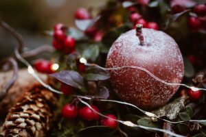 christmas, ornaments, frost-5784271.jpg